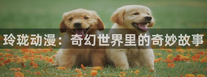 成人51动漫：玲珑动漫：奇幻世界里的奇妙故事