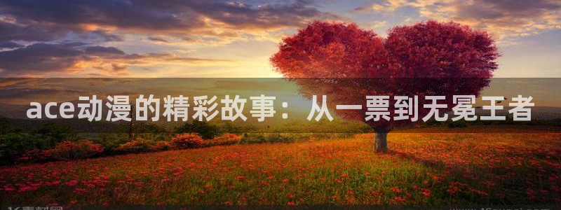 51动漫吧：ace动漫的精彩故事：从一票到无冕王者