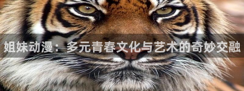 51动漫网免费版入口：姐妹动漫：多元青春文化与艺术的奇妙交融