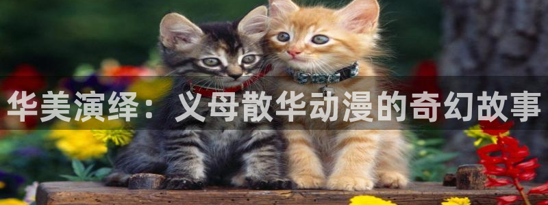 51动漫老版本的特点：华美演绎：义母散华动漫的奇幻故事