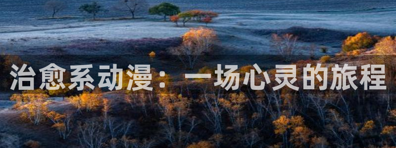 51动漫免费下载网站